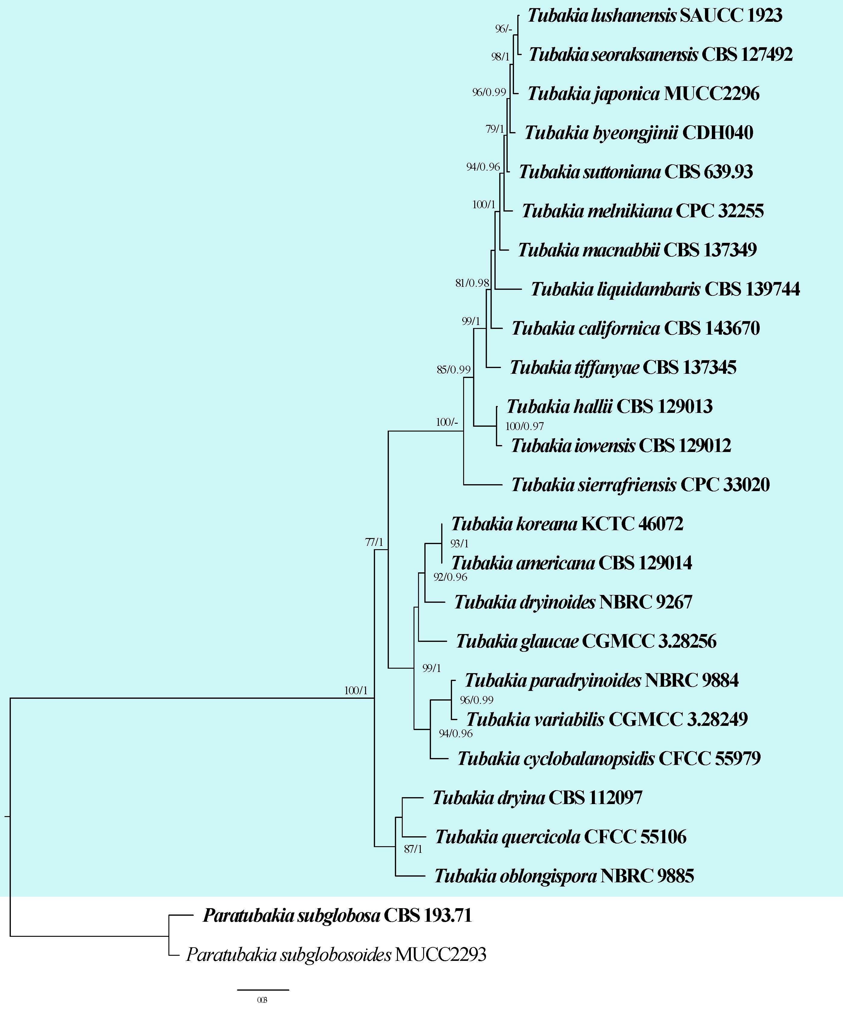 Figure 48